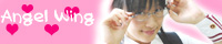 AngelWing
